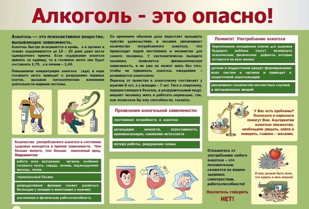 Будущее в моих руках!.